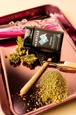 MARYJAE Cannabis Dispensary by null
