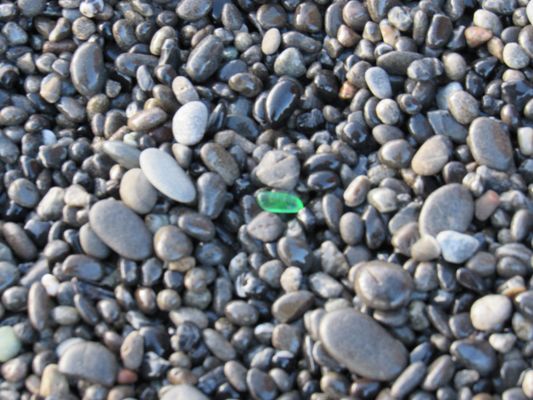 The Tides Inn by null