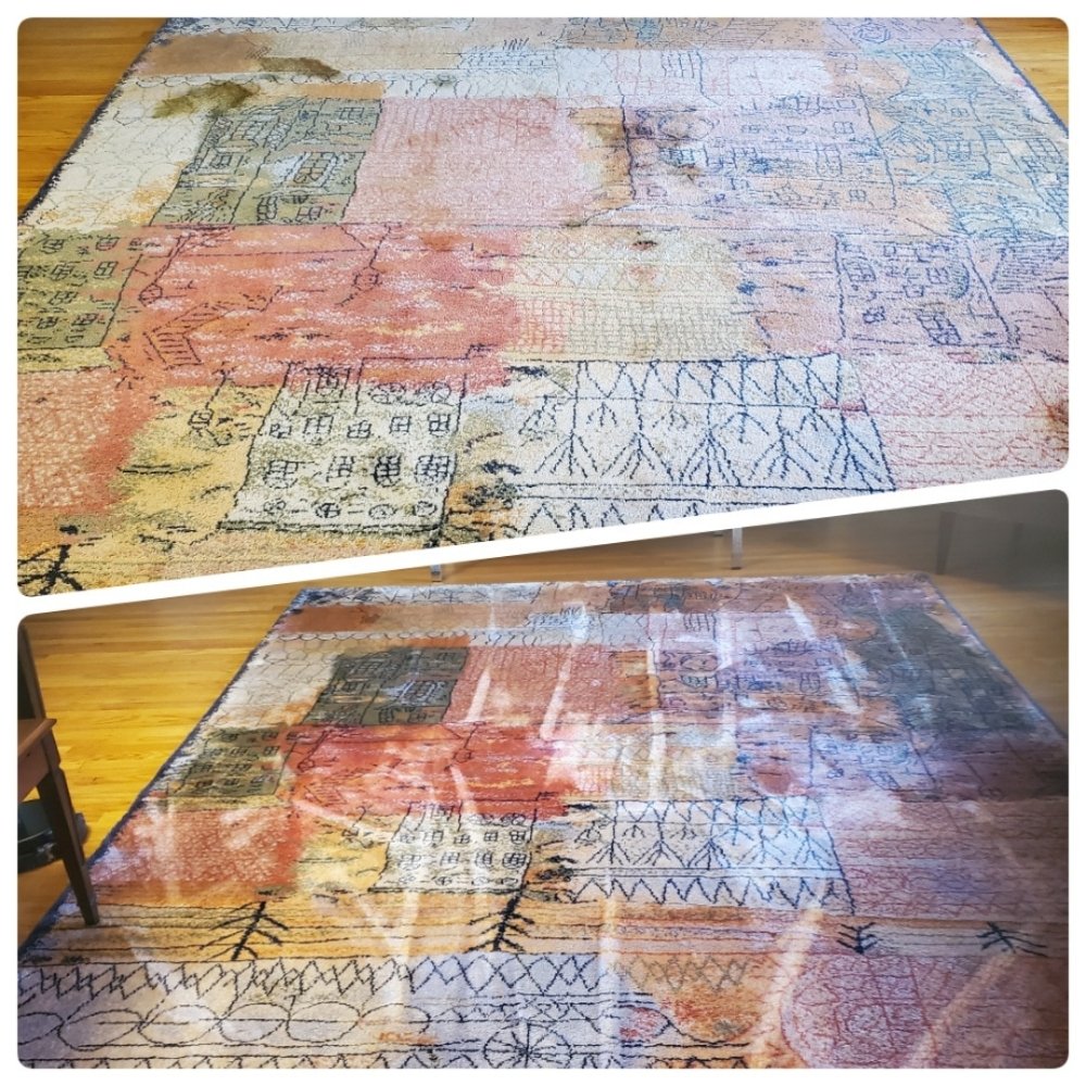 Ray of Sunshine Cleaning Services - veterans service organization in Cherry Hill, NJ