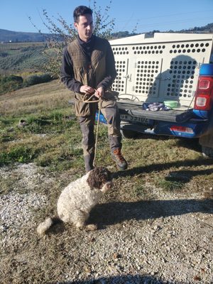 Villa Cora by null Villa Cora by null