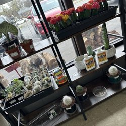 Soil Service Garden Center - Cacti