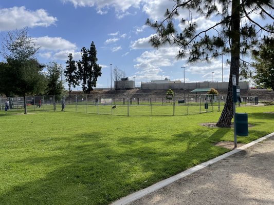 Fletcher Fetch Park by null