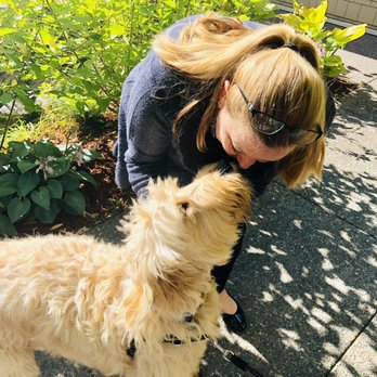 Cedarbrook Lodge - The puppy friendly staff!! And Baci :) - Hotels Near Me - SeaTac, Washington