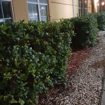La Quinta by Wyndham Alice - Outside and quite at 6 am - Hotels Near Me - Alice, Texas La Quinta by Wyndham Alice - Outside and quite at 6 am - Hotels Near Me - Alice, Texas