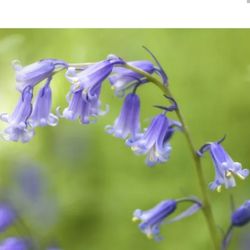 Missionary Volunteer Services - There is healing in Nature.