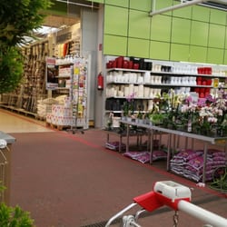 toom Baumarkt - Pflanzen  ... DEKO und Zubehör.