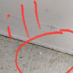 St John Neumann Center for Rehabilitation & Healthcare - Pills on floor