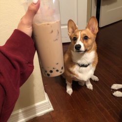 I don't remember what I got but it has honey in it