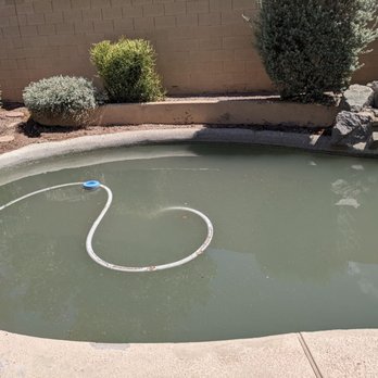 Brilliant Pools - the muddy pool that they caused and refuse to come back to clean up - Pool Cleaners Near Me - Scottsdale, Arizona