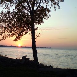 Brest Bay Marina