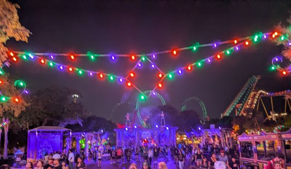 Six Flags Fiesta Texas by null