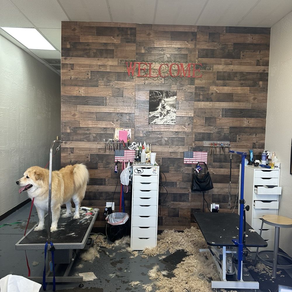 Paws to Claws - Not my dog, but a cutie for sure. - Pet Groomers Near Me - Gilbert, Arizona Paws to Claws - Not my dog, but a cutie for sure. - Pet Groomers Near Me - Gilbert, Arizona