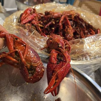Crawfish Cafe - Thr biggest crawfish! - Seafood Near Me - Houston, Texas