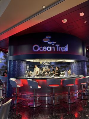 Ocean Trail by null