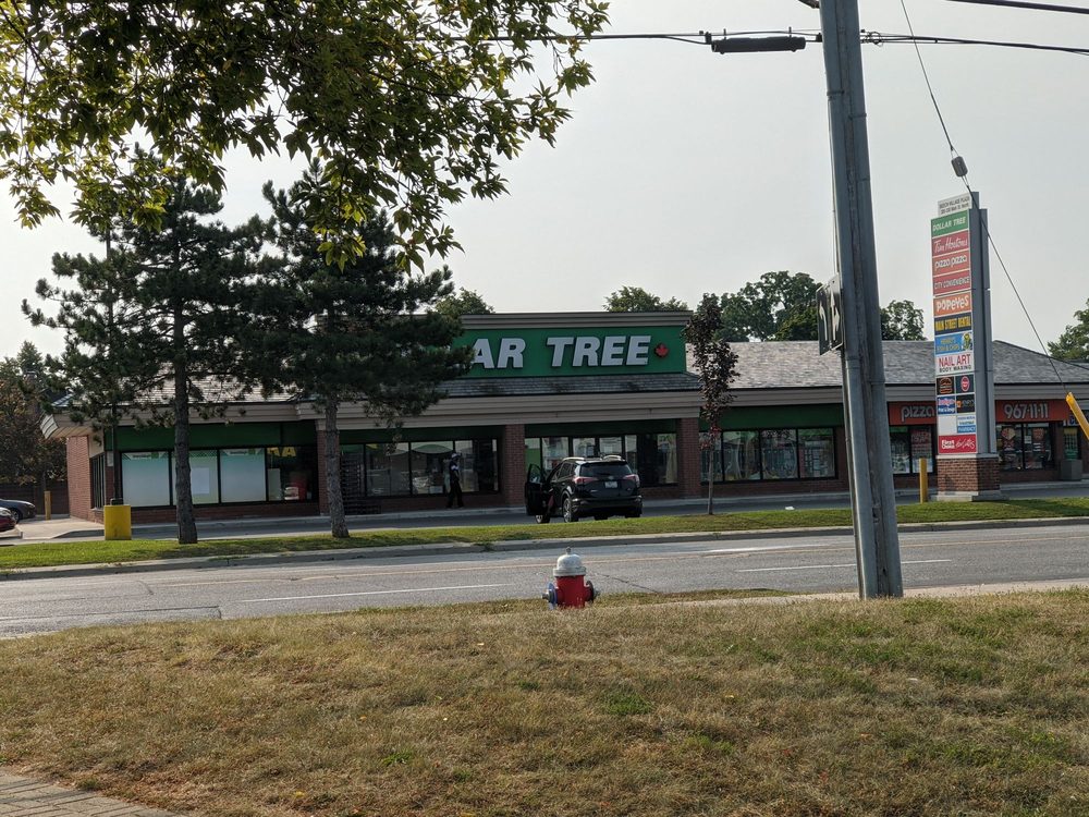 DOLLAR TREE Updated September 2024 320 Main Street North, Brampton, Ontario Dollar Store
