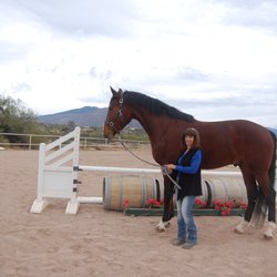 Horse Haven Equestrian Center