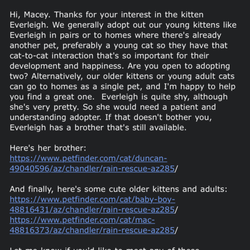 RAIN - Rescuing Animals in Need
