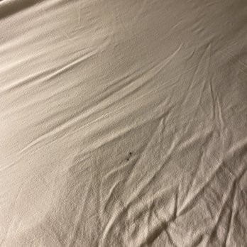 Quality Inn Stateline - Stained sheets. - Hotels Near Me - Wendover, Utah Quality Inn Stateline - Stained sheets. - Hotels Near Me - Wendover, Utah