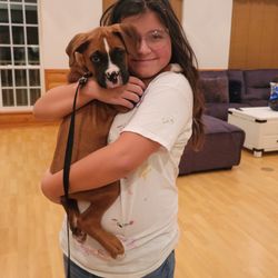 Complete K9 Training - Our daughter with cute little Dre in for training!