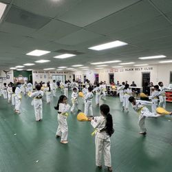 Pinnacle Taekwondo - Yellow Belt class
