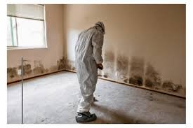 Centex Air Quality - mold inspector in Austin, TX