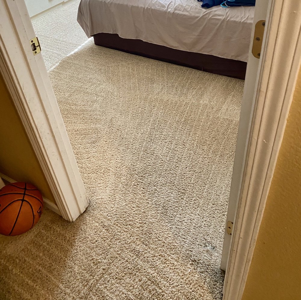 ELK GROVE CARPET CLEANING Updated June 2024 75 Photos & 107 Reviews