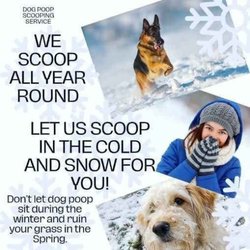 Best of Buddies Pet Care - Poop Scooping Service:  Weekly, Biweekly and One Time