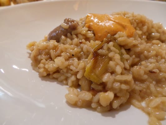 Somiatruites by null