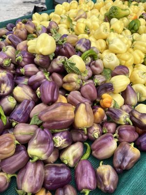 Montrose Farmers Market by null