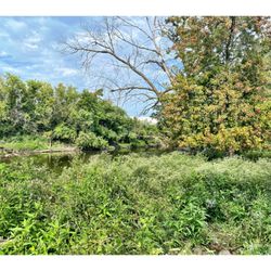 Schiller Woods - Schiller Woods . Cook County Forest Preserve .  Quick Morning Walk in Schiller Woods South/Des Plaines River Trial! Nice & Easy.  Cool!