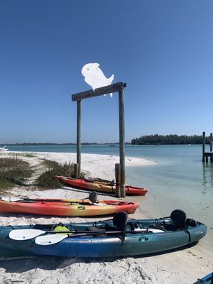 Happy Paddler Kayak Tours & EcoVentures by null