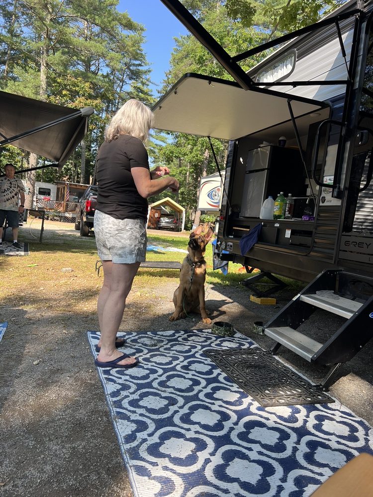 Salmon Falls River Camping Resort