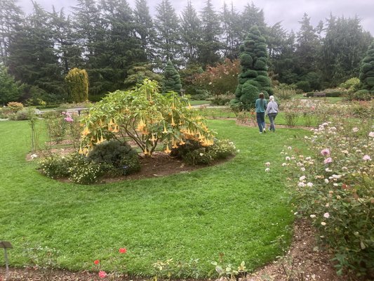 Woodland Park by null