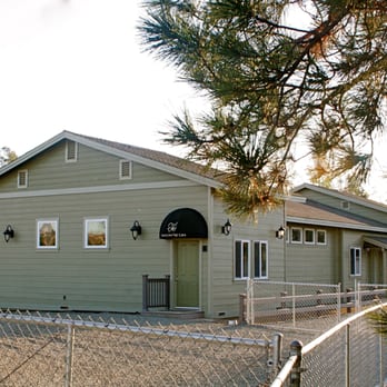 Cool Dog Ranch - 2600 Sq Ft Center for Training, Day Care & Overnight. - Pet Boarding Near Me - Temecula, California