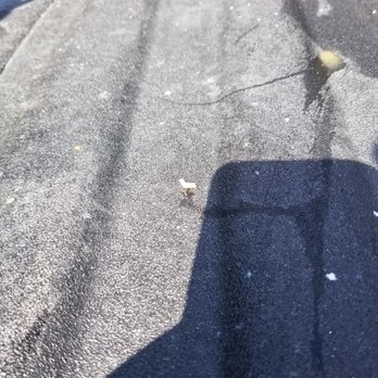 Ultimate Auto Body - Close up of one of the maggots dropping in my cab bed - Body Shops Near Me - Bedford Hills, New York