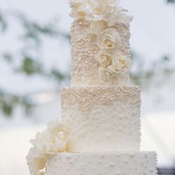 Bluebird Park City - Another gorgeous cake by Jordan Frye at Ballerina Baker.