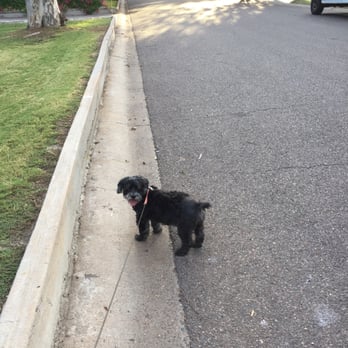 Pawgo - Pet Groomers Near Me - Phoenix, Arizona Pawgo - Pet Groomers Near Me - Phoenix, Arizona