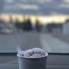 Farm To Table Icecream gift card