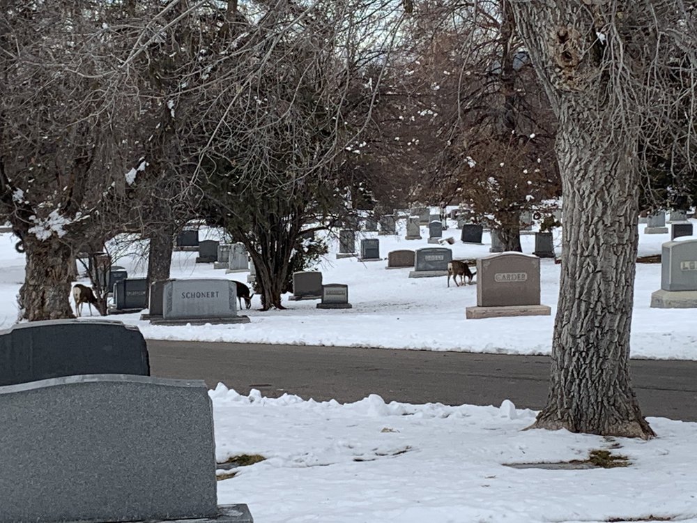 MOUNT OLIVET CEMETERY Updated December 2024 34 Photos & 10 Reviews