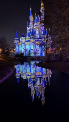 Cinderella Castle by null