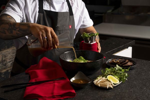 Singing Tiger by null