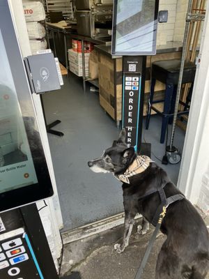 Detroit Square Pizza by null