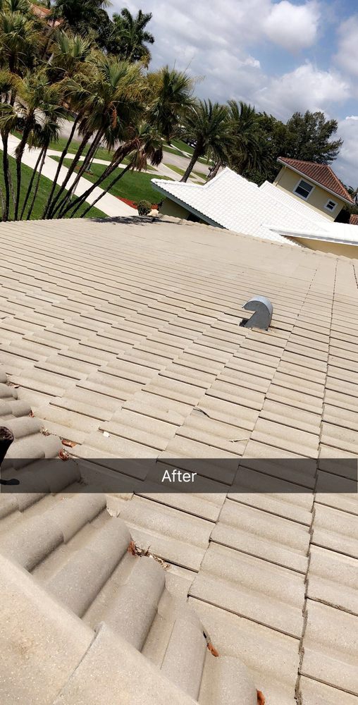 Slide of New Look Solutions