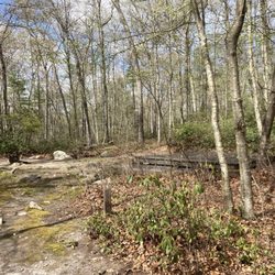 George Washington Memorial Camping Area - Campsite A1