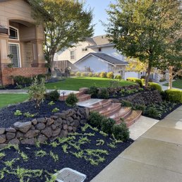 Front yard