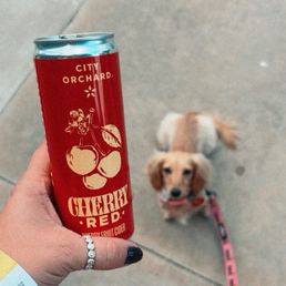 Cherry cider