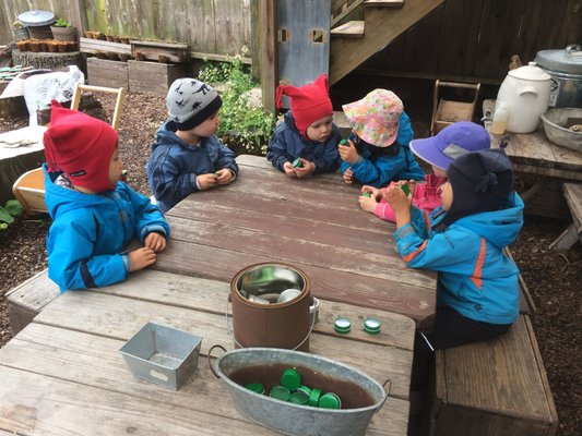 Children's Sunflower House & Garden by null