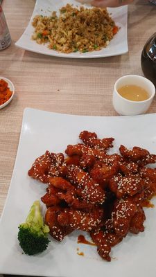 Noodles & Dumplings Time by null