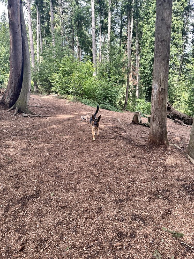 Viking Off-leash Dog Park Logo