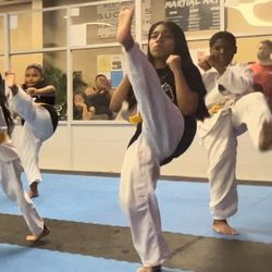 Modesto's Karate Academies